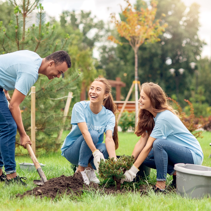 Community Participation and Companionship Support